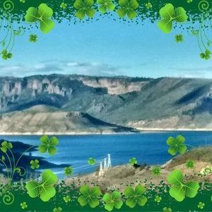 Meet your Posher, Pamela